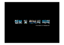 [경찰학] 정보경찰[정보경찰 swot 분석]-4