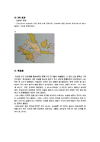 지구와 인간 - 인도네시아 수마트라 지진-5