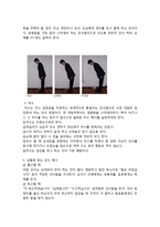 인사 매너에 대한 보고서-2