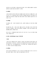 [보육과정] 보육모델[프로그램]과 보육과정 요약 정리-7