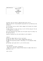 [스포츠] 웨이트트레이닝에 대해-12