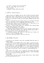 대기오염론 - 대기오염의 모든것-11