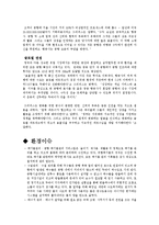 두바이 국제공항에 관한 조사-8