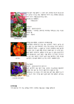 생활과 원예 - 우리 아파트 공간인 발코니의 실내정원 만들기-4