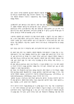 생활과 원예 - 우리 아파트 공간인 발코니의 실내정원 만들기-12