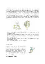 생활과 원예 - 우리 아파트 공간인 발코니의 실내정원 만들기-16