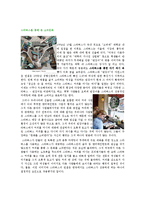 20대 소비 트랜드의 문제점-3