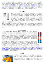 레져 스포츠 - 스키에 대해서-2