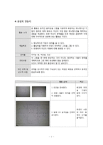 장애아 미술교육 - 창의적 미술활동 계획안[목록]-7