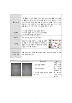 장애아 미술교육 - 창의적 미술활동 계획안[목록]-9