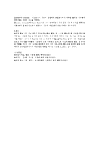 [놀이지도] 정신분석이론, 인지발달이론, 최근놀이이론에 관해-4