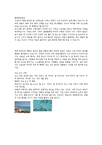 [인샬라과제] 중동여행[이집트 여행에 관해]-8