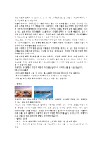 [인샬라과제] 중동여행[이집트 여행에 관해]-10