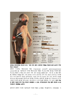 문장의 이해와 표현 - 성범죄자에 대한 화학적 거세 찬성측 입장 근거 자료-7