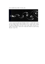 [인물탐구] 오일러, 폰 칼만 인물 조사-4