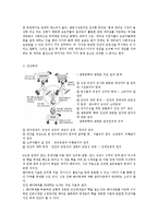 윤리문제 - 현대의학의 발전으로 인한 생명윤리적 문제[사례를 토대로]-2
