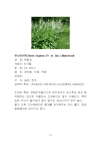 [원예] 한국의 야생화 조사-9