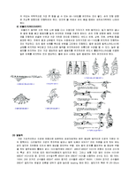 [스포츠] 수영 영법에 대해서-2
