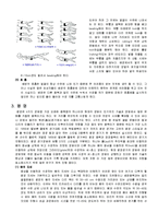 [스포츠] 수영 영법에 대해서-6