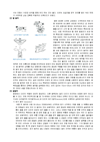 [스포츠] 수영 영법에 대해서-7