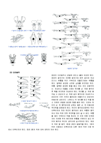 [스포츠] 수영 영법에 대해서-11