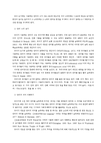 유아기의 인지발달-7