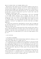 유아기의 인지발달-12