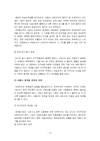 한국사회문제 - 현대 도시가 가지고 있는 문제와 극복 방안 및 서울시의 문제점과 대안-17