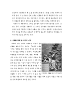 [스페인의 역사와 문화] 고야의 유령을 통해 본 당시의 스페인과 고야에 대해-5