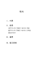 장애인복지론 - 장애인 복지의 현황 및 문제점, 장애인 복지의 실천 방안-1