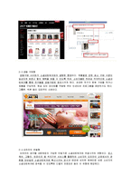 SNS[소셜 커머스]에 대한 분석-2