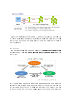SNS[소셜 커머스]에 대한 분석-4