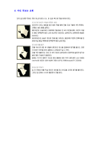 프랑스 문화 - 프랑스의 와인에 대해서-10