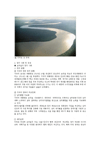 해외지역 연구론 - 브라질에 대해서-6