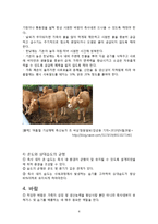 축산과 기상환경-6