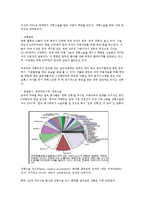 중국의 성형 열풍-2