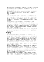 [아동복지] 놀이 발달에 영향을 미치는 요인-3