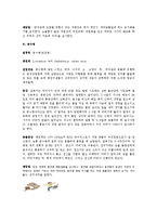 인간과 동물의 인수공통감염에 관해서-3