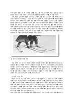 [스포츠] 스키의 역사, 경기의 종류와 규칙, 스키 턴의 종류, 용어의 해설-2