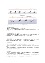 [스포츠] 스키의 역사, 경기의 종류와 규칙, 스키 턴의 종류, 용어의 해설-10