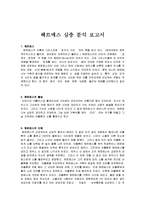 헤르메스 심층 분석 보고서-1
