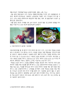 [피부미용학] 아로마테라피에 대해서-6