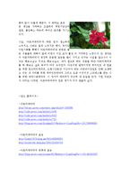[피부미용학] 아로마테라피에 대해서-9