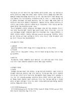 보육과정의 철학적 기초[코메니우스의 아동관,루소의 아동관,에릭슨]-3