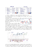 시나리오 분석론 - 니모를 찾아서 스토리텔링 분석-3