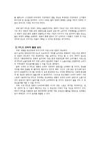 [미디어, 광고] PPL의 효과와 영향-10