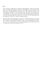 [사회복지실천론] 사회복지서비스 확충 방안-4