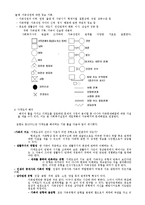 [사회복지실천론] 가계도와 생태도 그리는 방법-2