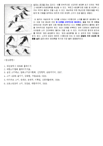 [스포츠] 스키 장비와 스키 기본 기술에 대해서-19
