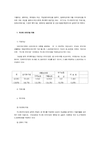 [여성복지론] 한국 여성정책의 현황과 발전방향-11